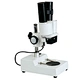 Binocular Stereo Microscope